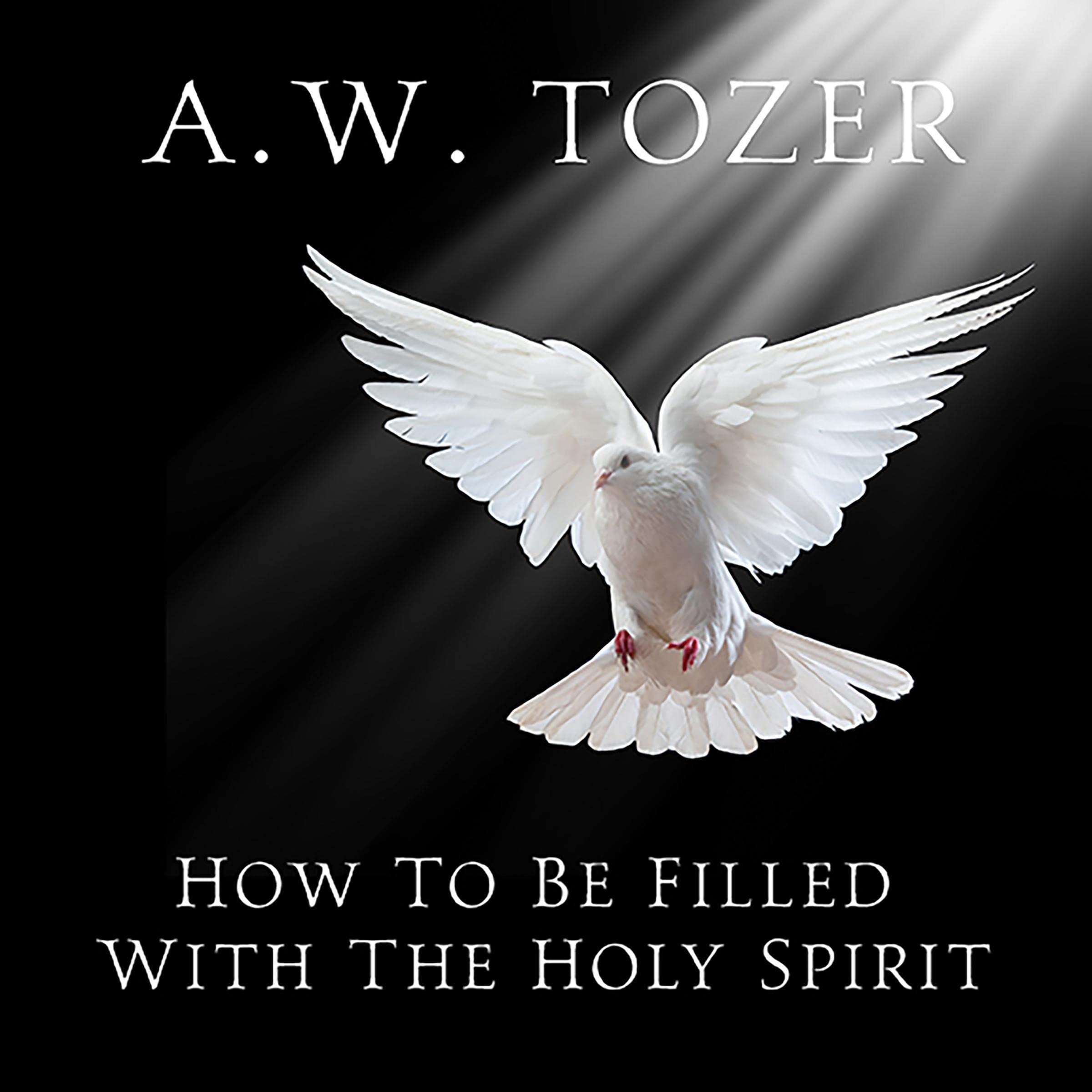 Cover art for How to Be Filled with the Holy Spirit
