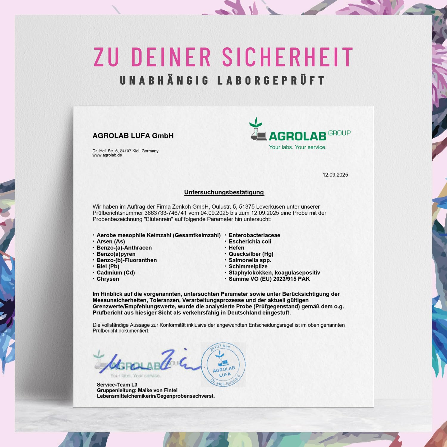 NATURTREU® Mariendistel Artischocke Löwenzahn Kapseln - Leber Komplex mit Cholin für die normale Funktion der Leber - Mariendistel Hochdosiert 80% Silymarin 200 mg - 120 Kapseln - 4 fach Komplex