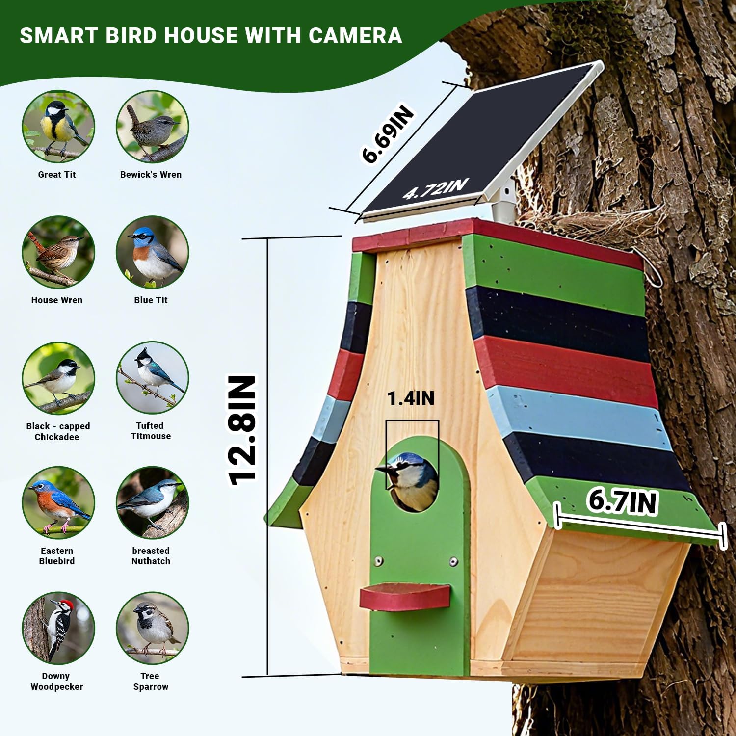 Birdhouse with Camera Inside, Smart Bird House with Camera Solar Powered, 1080P HD Wireless, Auto Capture Bird Videos & Motion Detection and App Notify, Wooden Birdhouses