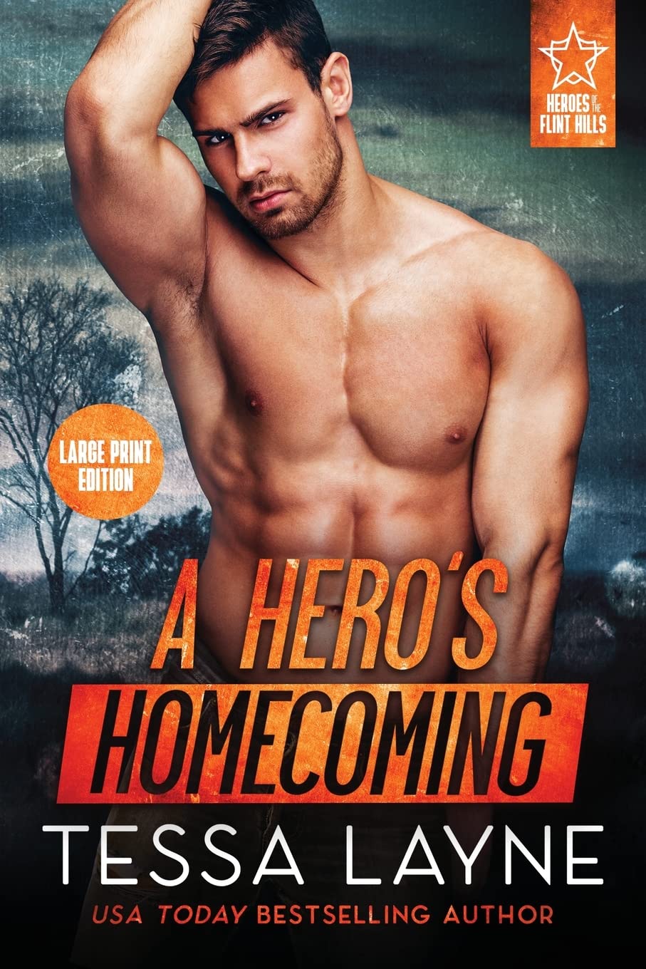 Buy A Hero's Homecoming: 1 (Heroes of the Flint Hills) — BookShops.in