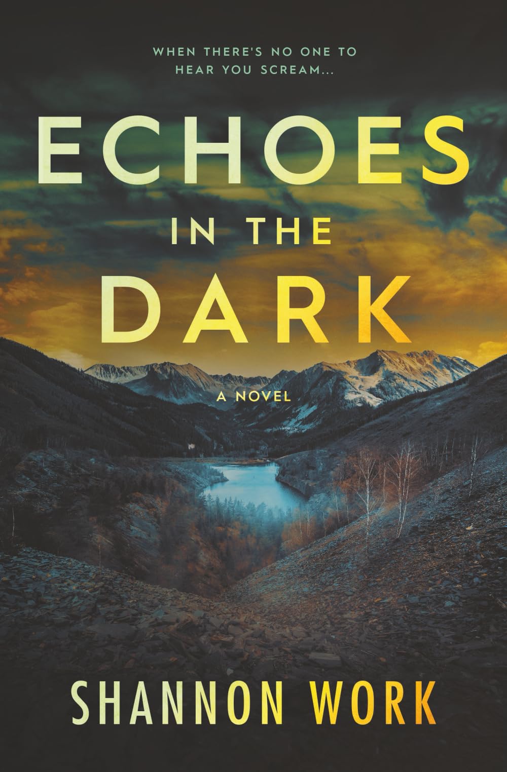 Echoes in the Dark (Mountain Resort Mystery series)