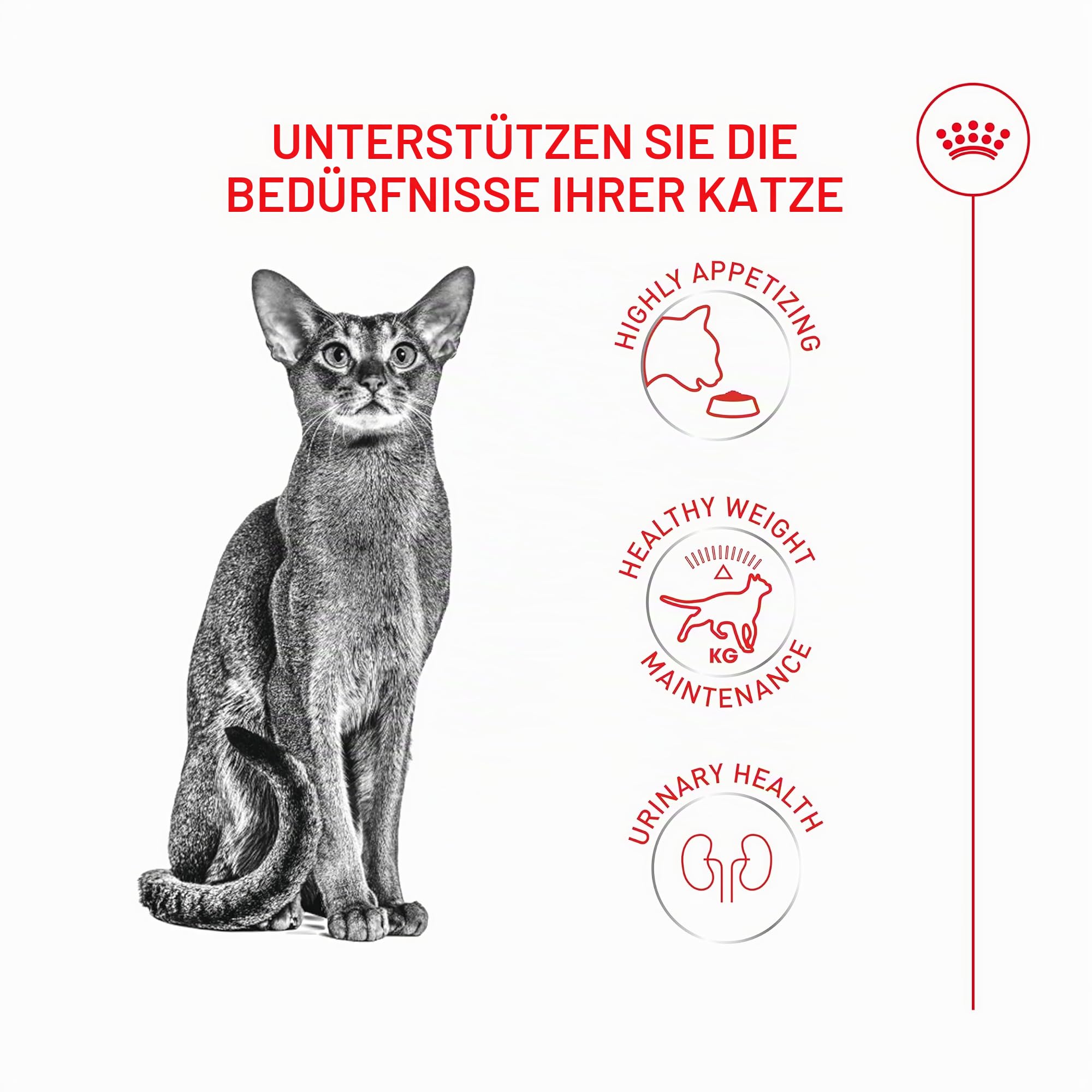 Royal Fussy Exigent Katzenfutter für Erwachsene, 1 x 10 kg