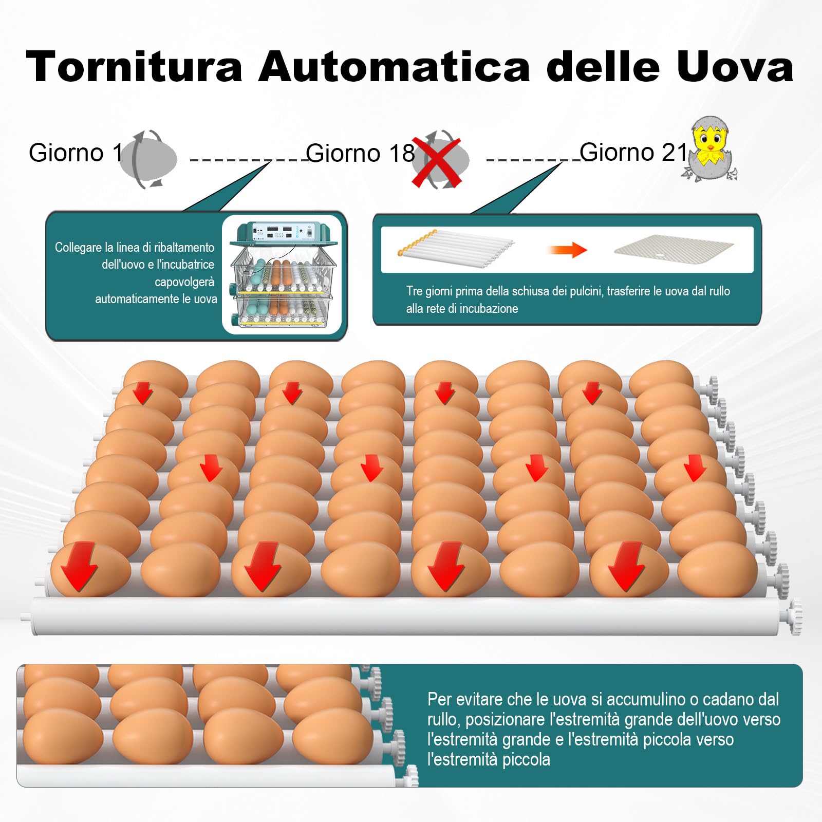 CoInceptus Incubatrice per Uova Automatica, Incubatrice da 120 Uova con Tornitura Automatica delle Uova e Umidificazione Automatica, Incubatrice per Uova di Gallina, Quaglia, Anatra
