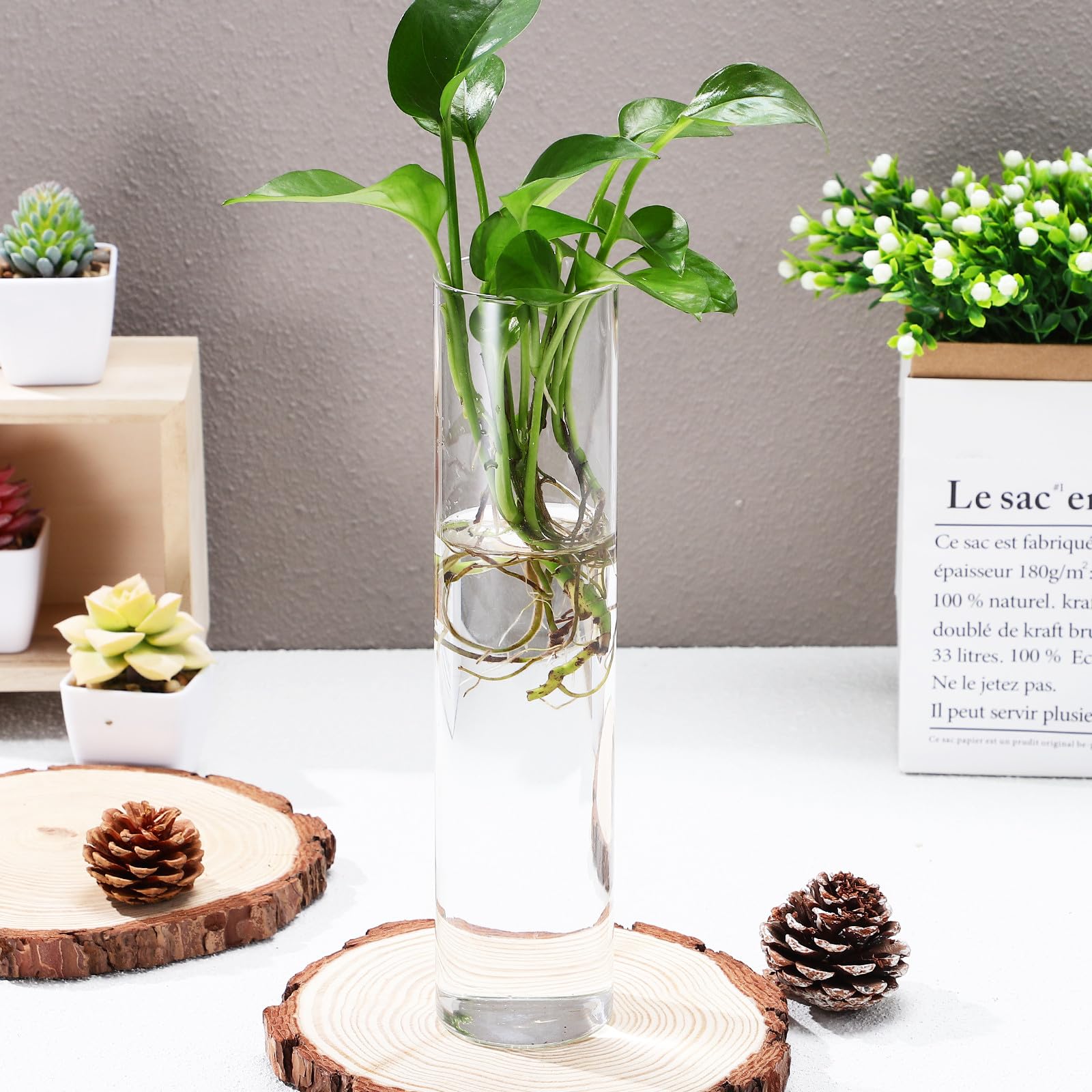 BESPORTBLE Set di vasi cilindrici da parete in vetro con superficie liscia e facile da pulire, 2 pezzi, supporto per piante acquatiche da appendere, terrario decorativo moderno per piante da interno