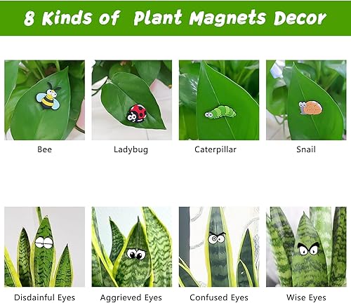 Miniatura 2 de Imanes para plantas en maceta, paquete de 8 bonitos imanes seguros para plantas, divertidos accesorios para plantas de interior y exterior, regalos