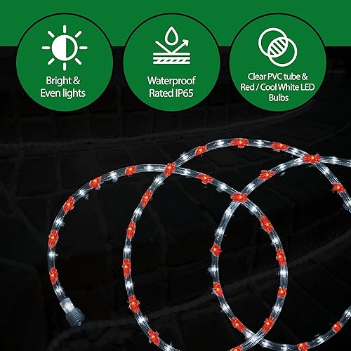 Vista 7 de Tupkee LED Rope Light Red & Cool White - for Indoor and Outdoor use, 24 Feet (7.3 m) - 10MM Diameter - 144 LED Long Life Bulbs Rope Tube Lights Rojo