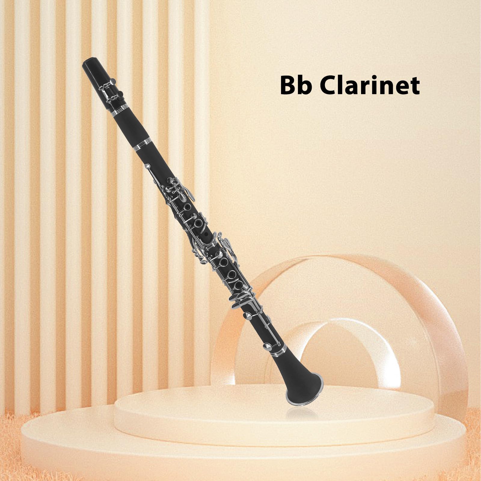 Clarinete ABS Binocular Clarinete Bb con 10 Cañas Paño de limpieza Guantes Destornillador Soporte Bolso Cepillo de limpieza Clarinete profesional de ebonita Bb Instrumento de viento de madera p