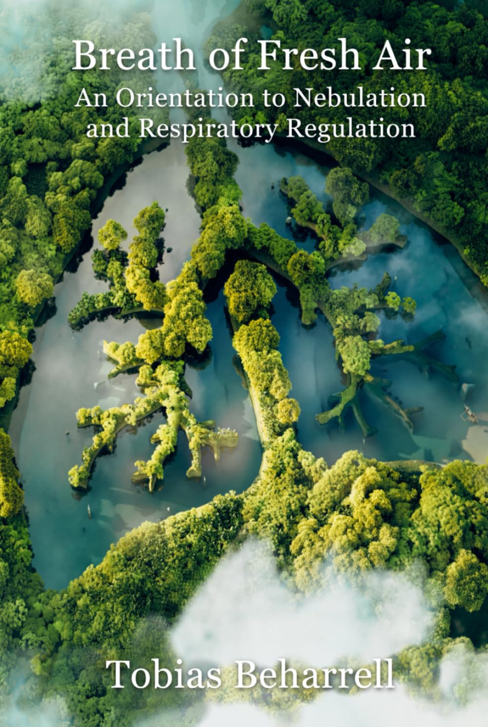 Breath of Fresh Air: An Orientation to Nebulation and Respiratory Regulation