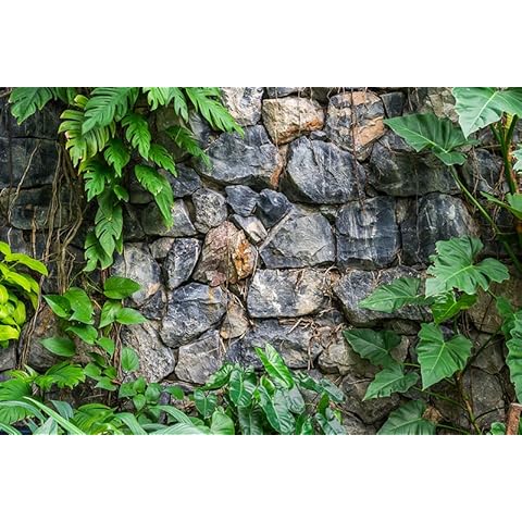 BannersNStands Aquarium Terrarium Backgrounds Main (Rock Wall with Plants, 36''L x 18''H) Cover