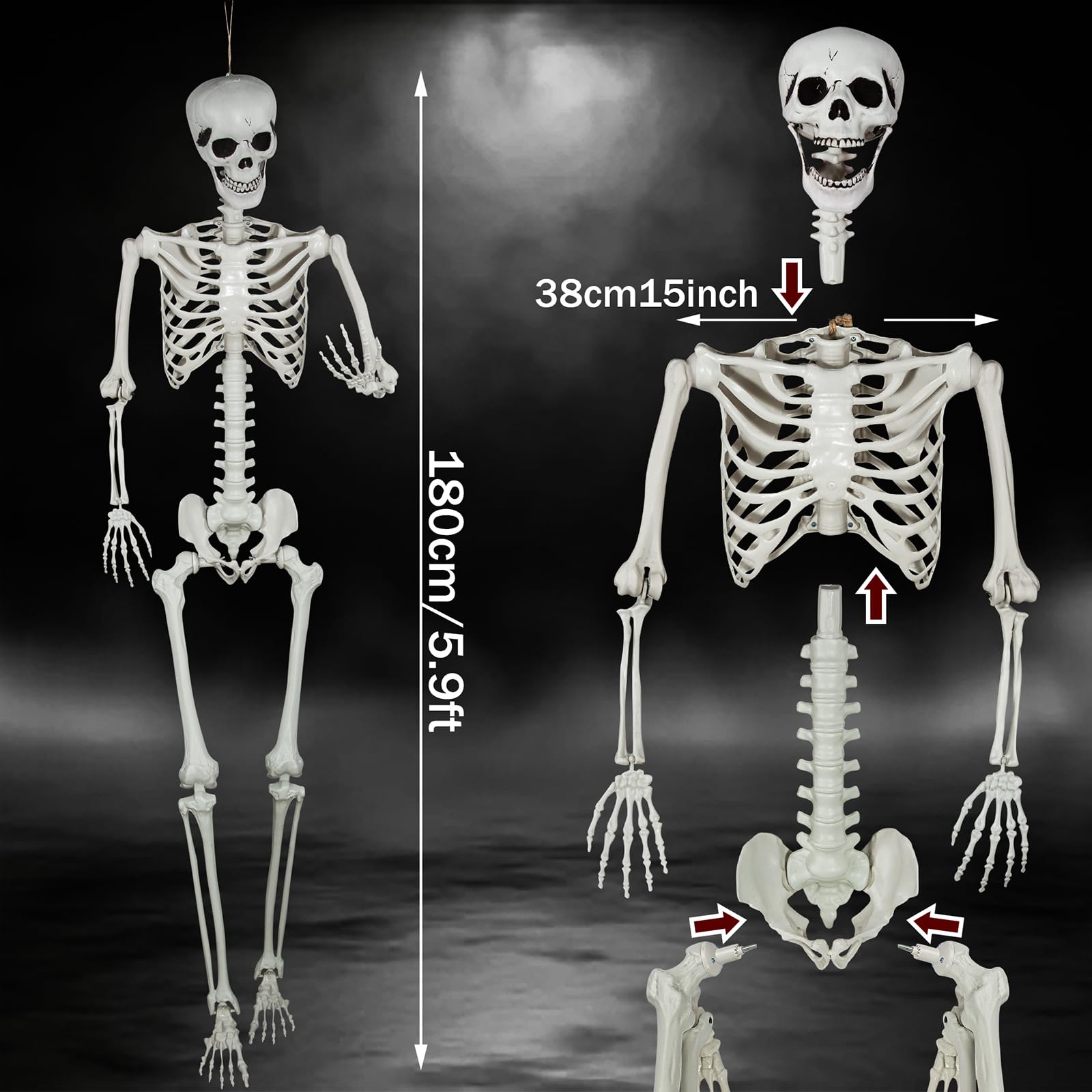 Esqueleto de Halloween de 180 cm, cuerpo completo, huesos de esqueleto humano de tamaño real con articulaciones móviles para decoración de Halloween, escena espeluznante, decoración de fiesta (1