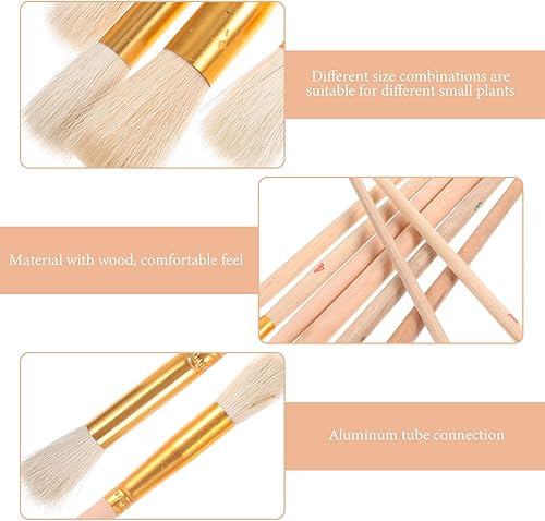 Miniatura 5 de GANAZONO 8 piezas de plantas polinizadoras suculentas cepillo de limpieza herramientas de jardinería paisaje miniatura cepillo de musgo en miniatura