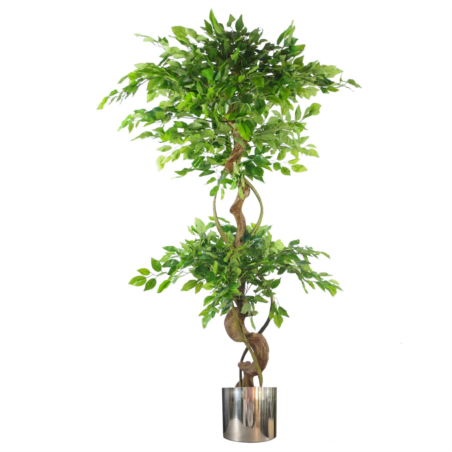 Botanik Artificial Ficus Tree 5ft Green Twisted Trunk Silver Metal Planter