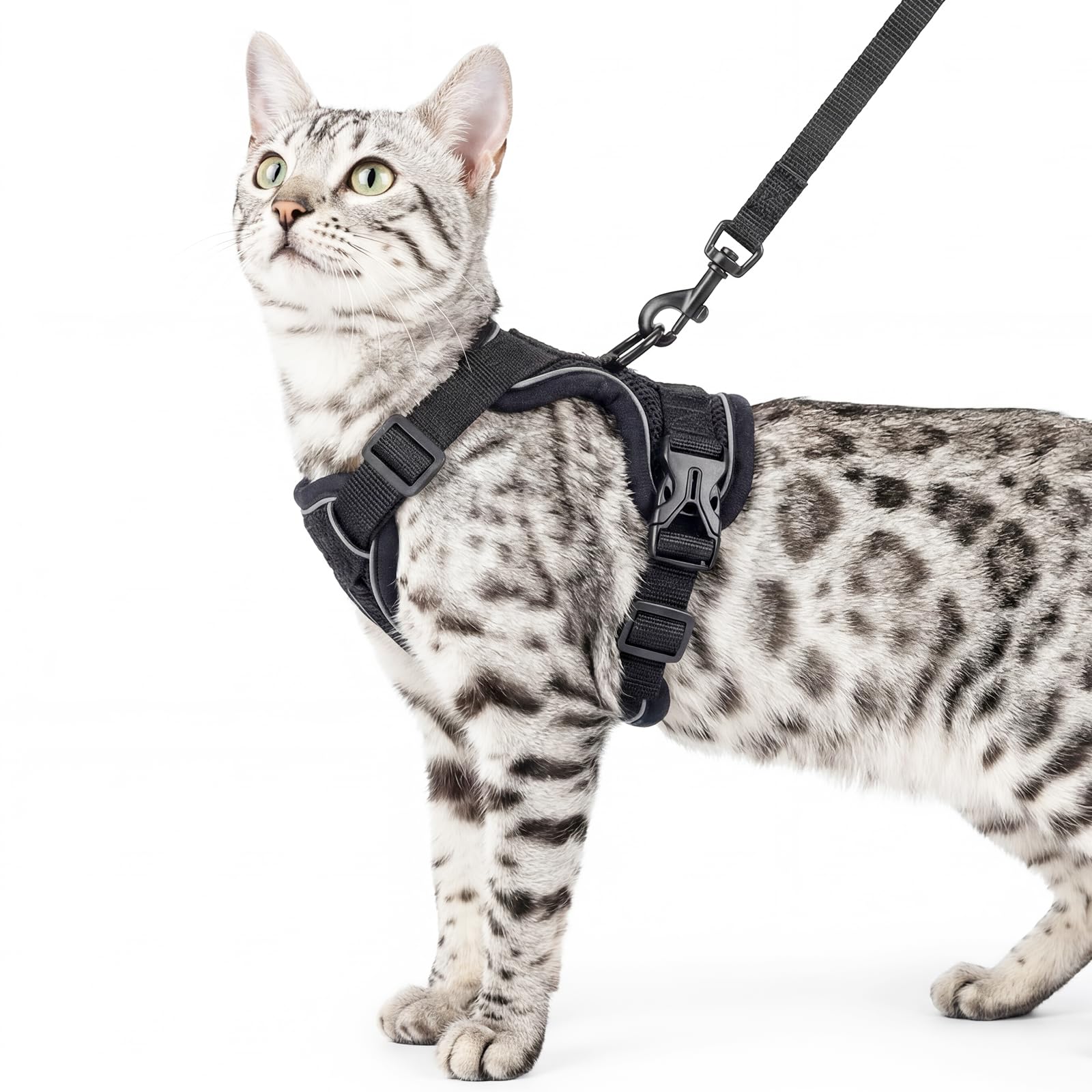 pangdi Cat Harness and Leash Set Escape Proof Tactical Extra Large Kitten Harness Emotional Support Cat Vest, Black, XL