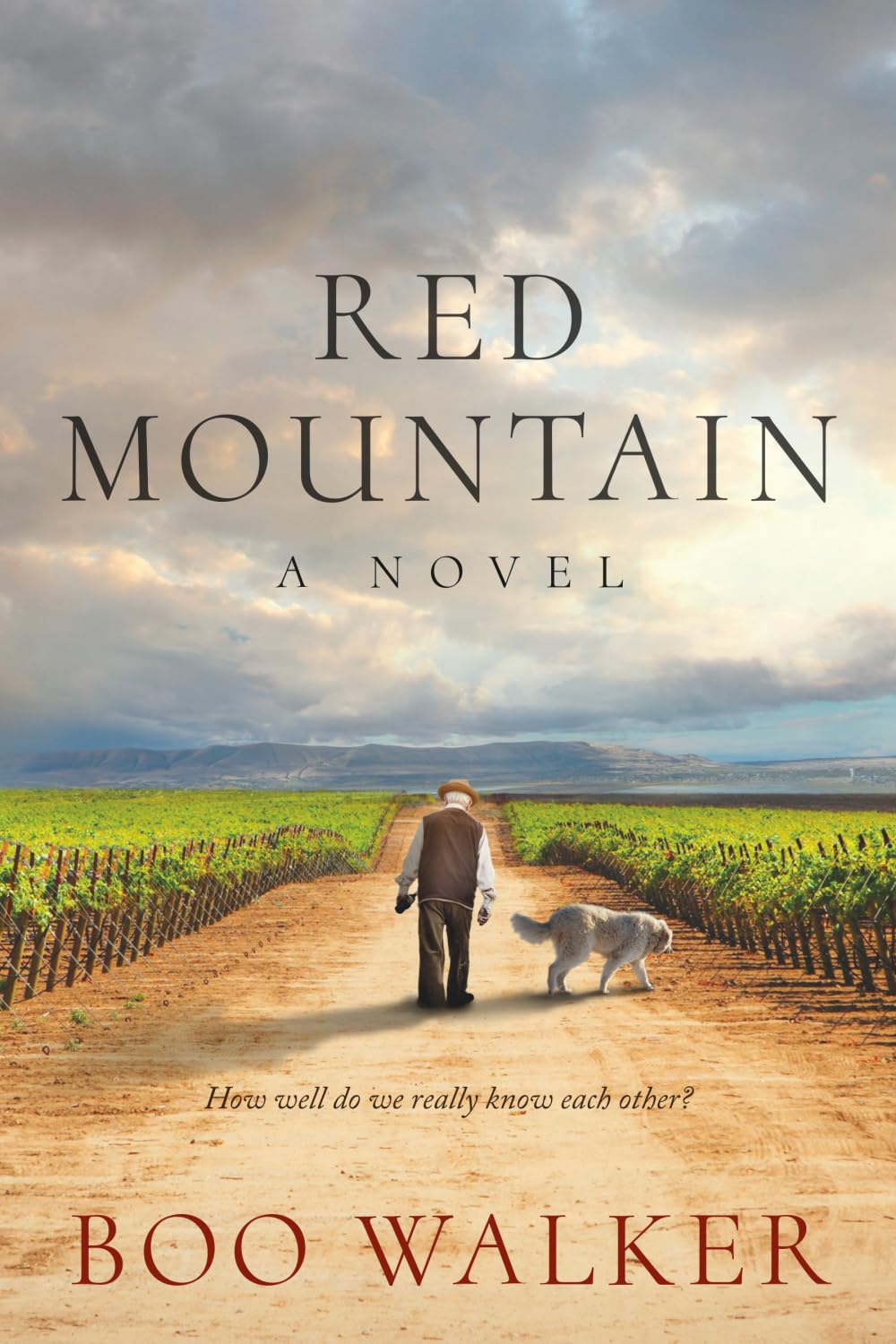 Red Mountain: A Novel: 1 (Red Mountain Chronicles)