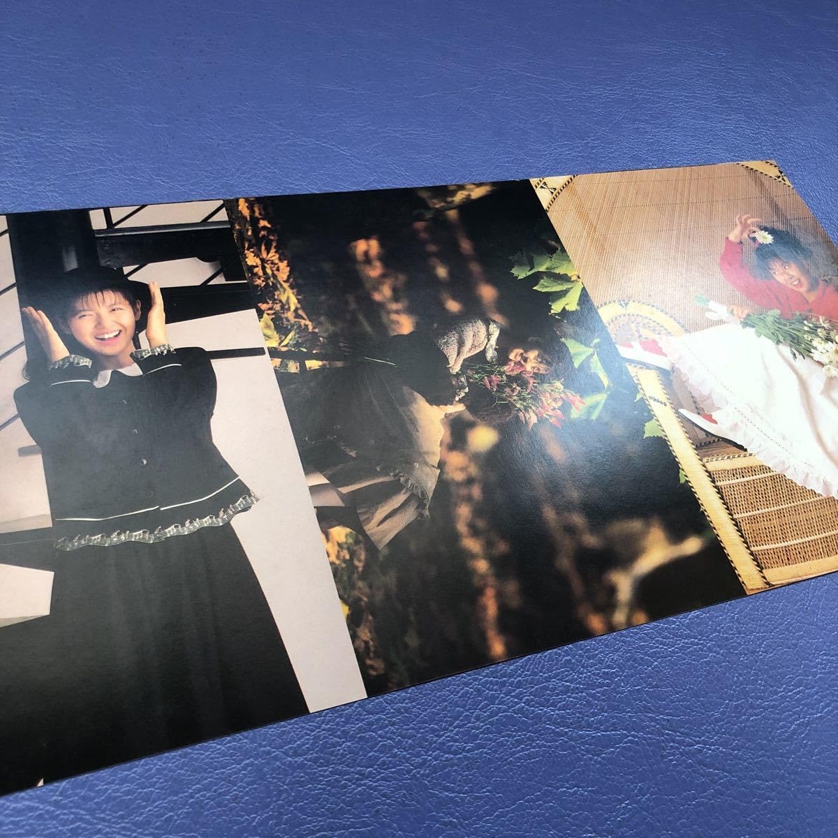 南野陽子さんLPレコード10枚セット＋楽園のDoor限定特別シングル EP〕南野陽子／楽園のDoor （LPジャケ仕様） / 古本、中古本、古