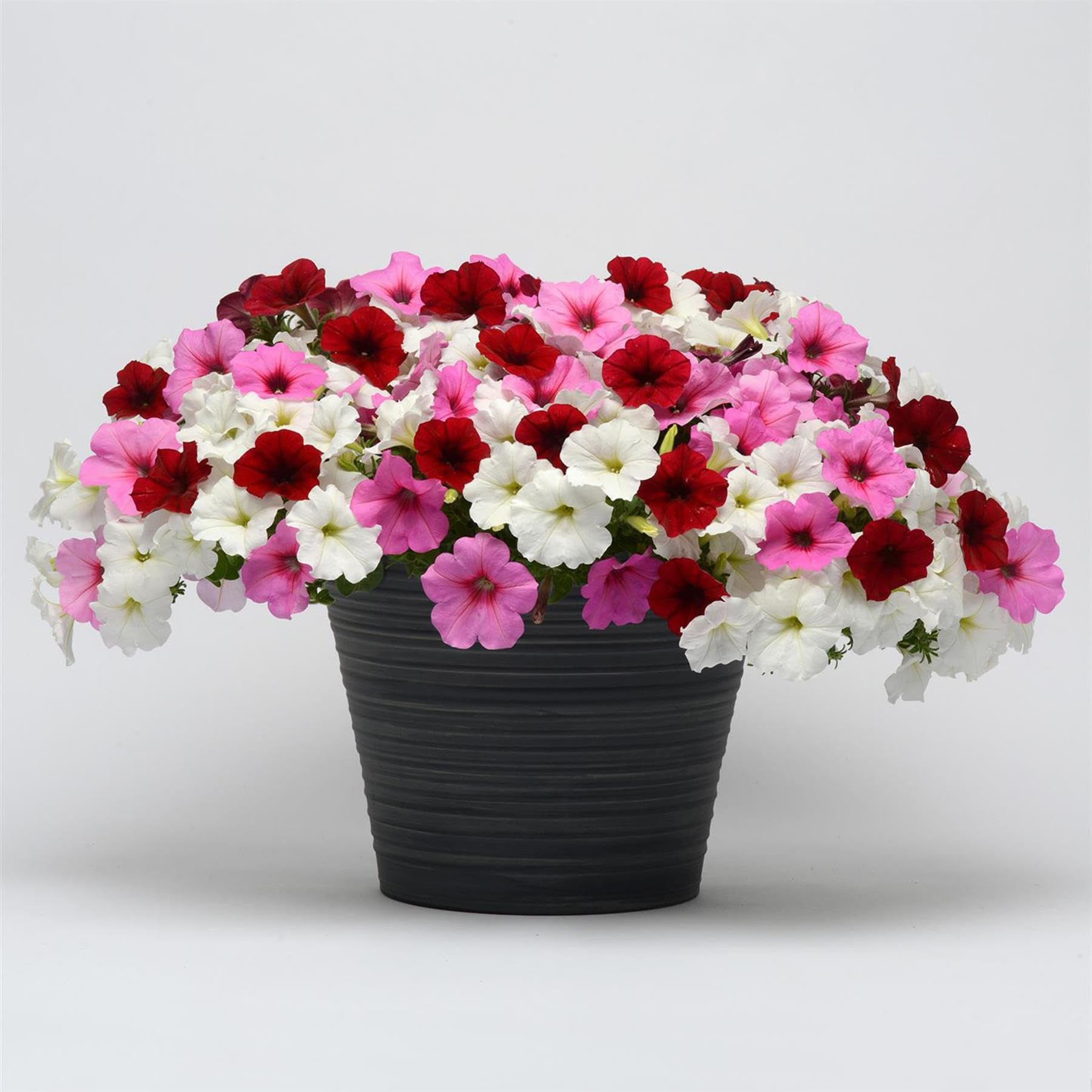 View 2