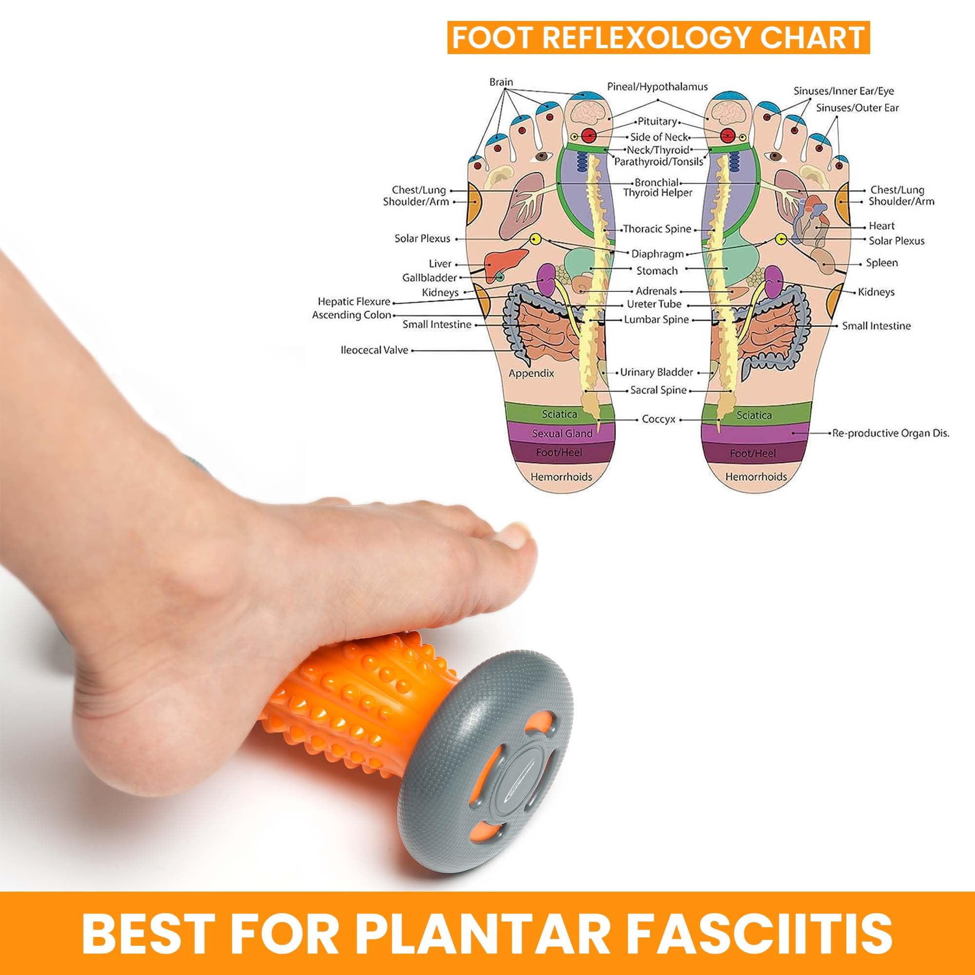 Rodillo de masaje de pies para fascitis plantar, masajeador de talón y arco de pie, alivio del estrés y relajación, a través de terapia de punto de gatillo por Natural Chemistree