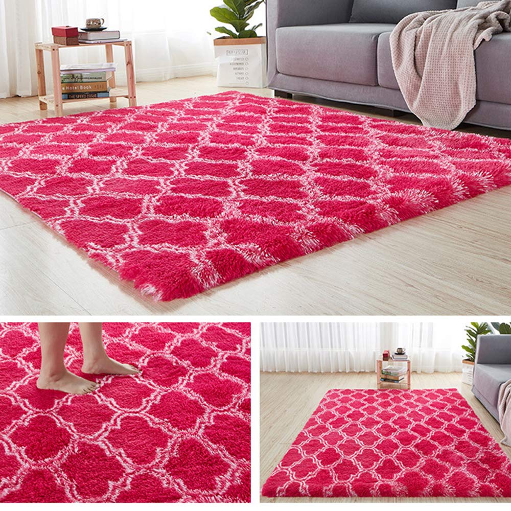 Treer Tapis Salon Shaggy Poil Long, Lavable Multicolore Anti-Dérapant Chaise Canapé Natte pour Intérieur Séjour Chambre Couloir Cuisine Bureau Tapis carré (Gris Argent,60 * 120cm