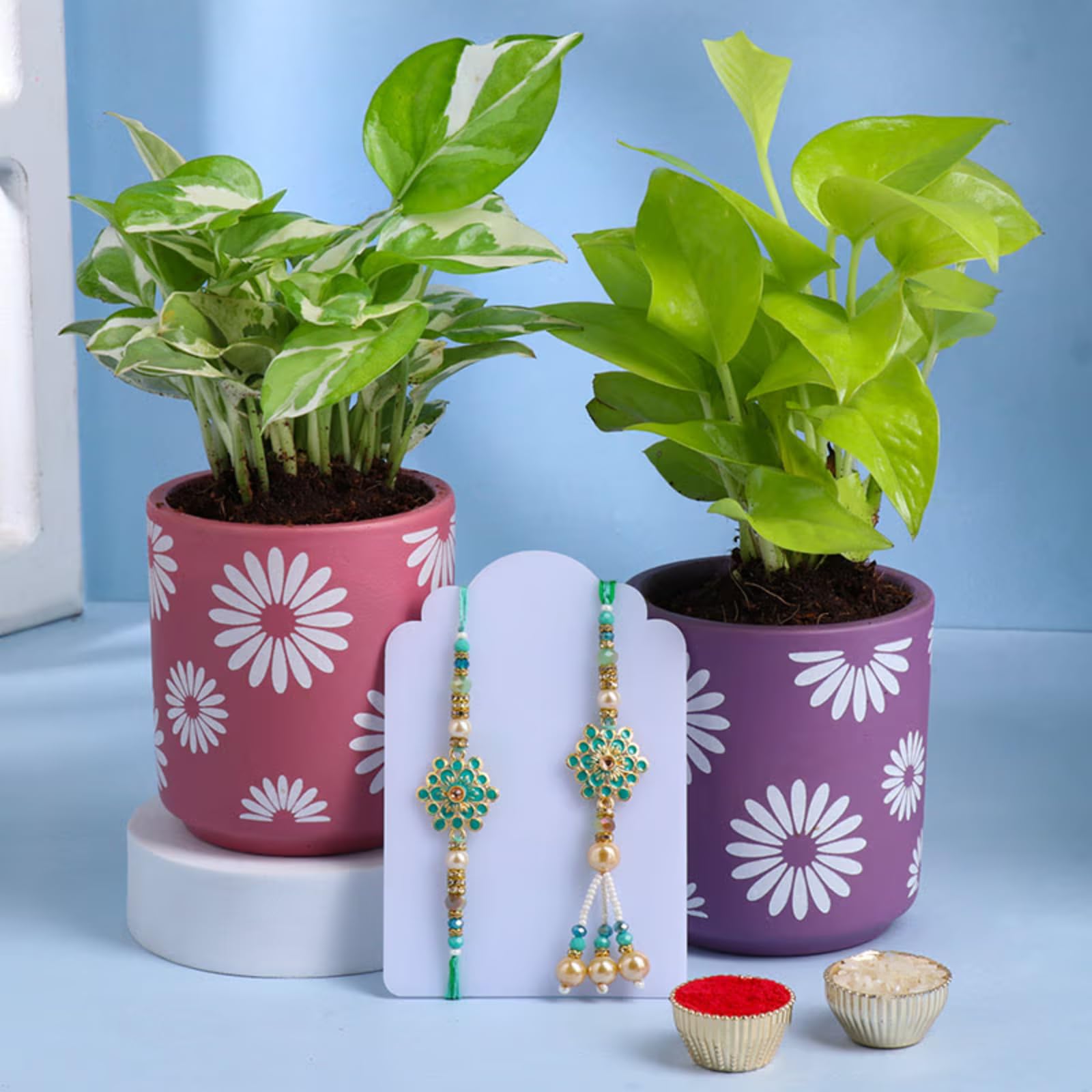 See full amazon price history chart for FlowerAura Raksha Bandhan Celebrations Green Flowers Design Bhaiya Bhabhi Rakhi With Money Plant & White Pothos Live Indoor Plants in Terracotta Pot - Rakhi for Brother, Bhabhi, Bhaiya FlowerAura Raksha Bandhan Celebrations Green Flowers Design Bhaiya Bhabhi Rakhi With Money Plant & White Pothos Live Indoor Plants in Terracotta Pot - Rakhi for Brother, Bhabhi, Bhaiya (B0DB8P42RQ) Amazon Price History, Amazon Price Tracker