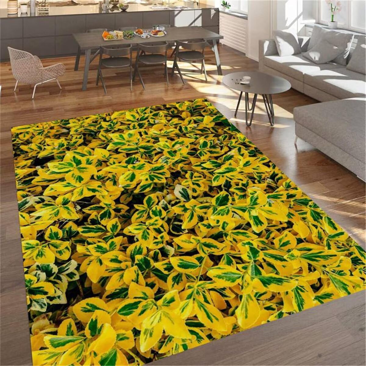 Grand tapis d entree interieur style moderne anti-poussiere