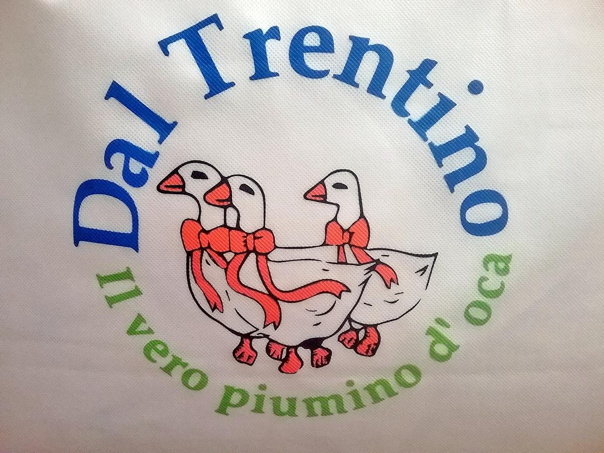 VERO Piumino d’OCA Trentino letto Singolo piuma Piumone per sacco copripiumino