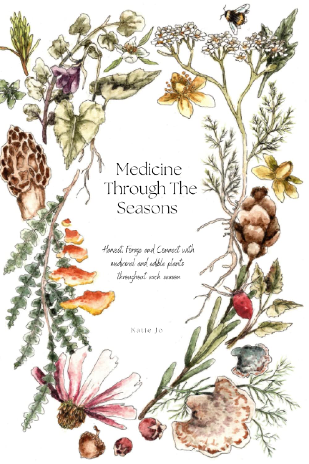 Medicine Through The Seasons: Harvest, Forage and Connect with medicinal and edible plants throughout each season