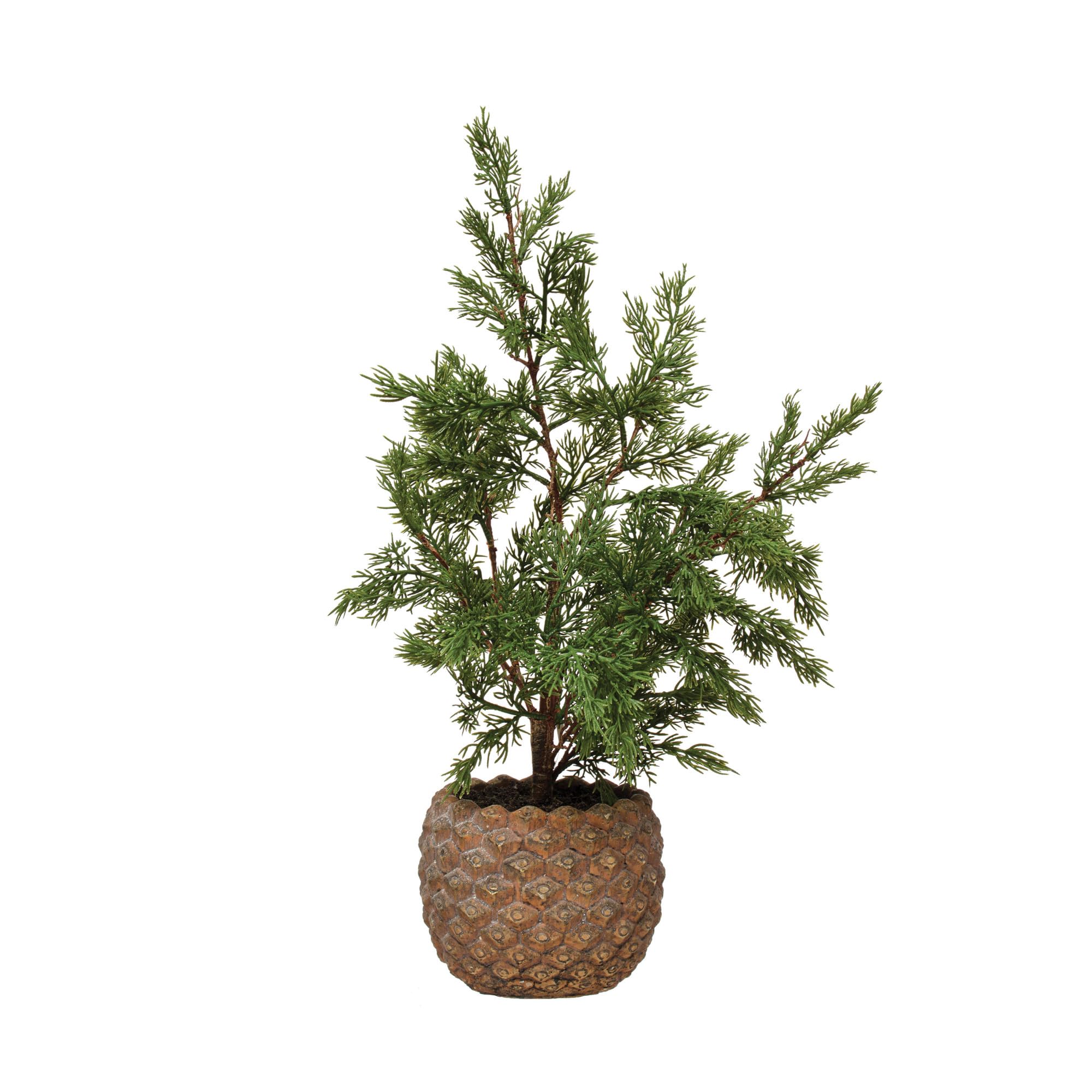 Creative Co-Op Faux Hinoki Cypress Tree in Pinecone Shaped Cement Pot, Distressed Finish