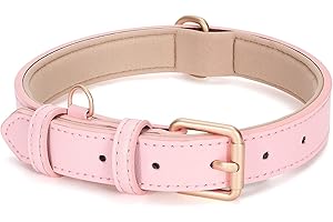 WHIPPY XS Leather Dog Collar : Durable, Comfortable, and Stylish