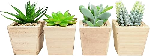 Miniatura 3 de Ebros Gift Juego de 4 suculentas botánicas artificiales realistas en maceta cuadrada de 4.75 pulgadas de alto, plantas de imitación bonsái, helecho,