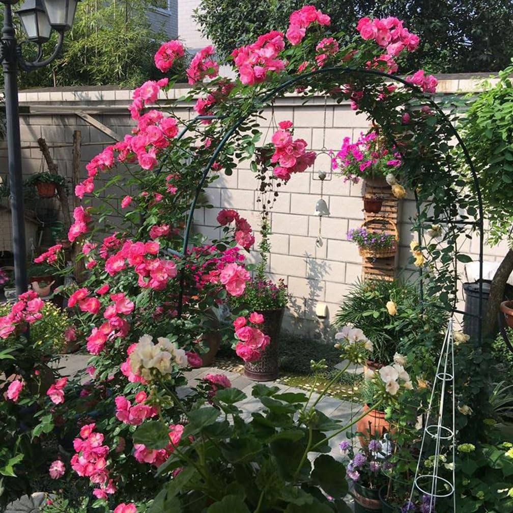 Edelstahl Rankhilfe für Kletterpflanzen Breite Rosenstütze Rostfrei Gartendeko und Pflanzenhelfer