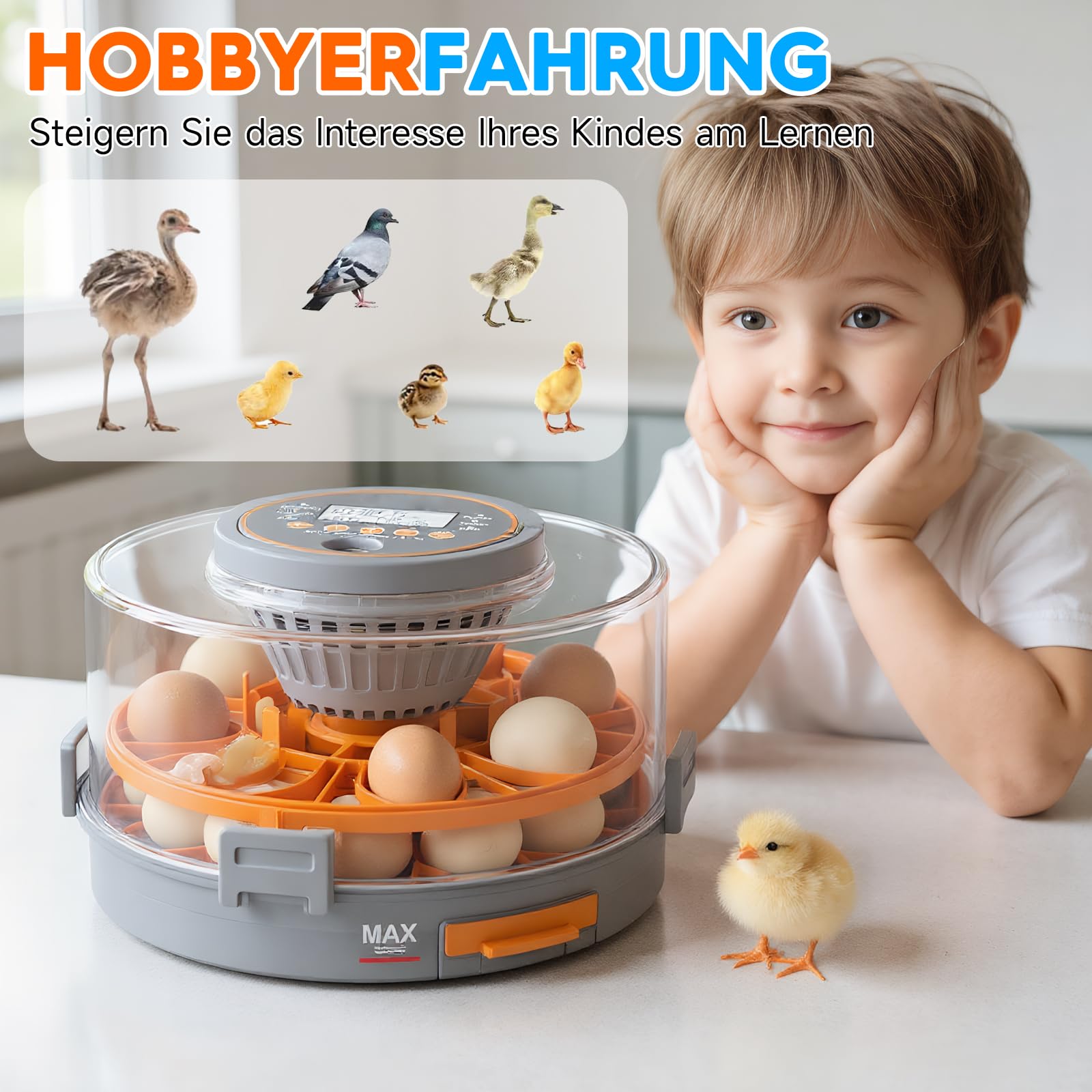 Incubadora totalmente automática, incubadora para 20 huevos con control de temperatura y humedad, giro automático y parada, para pato, gallina, paloma y codorniz