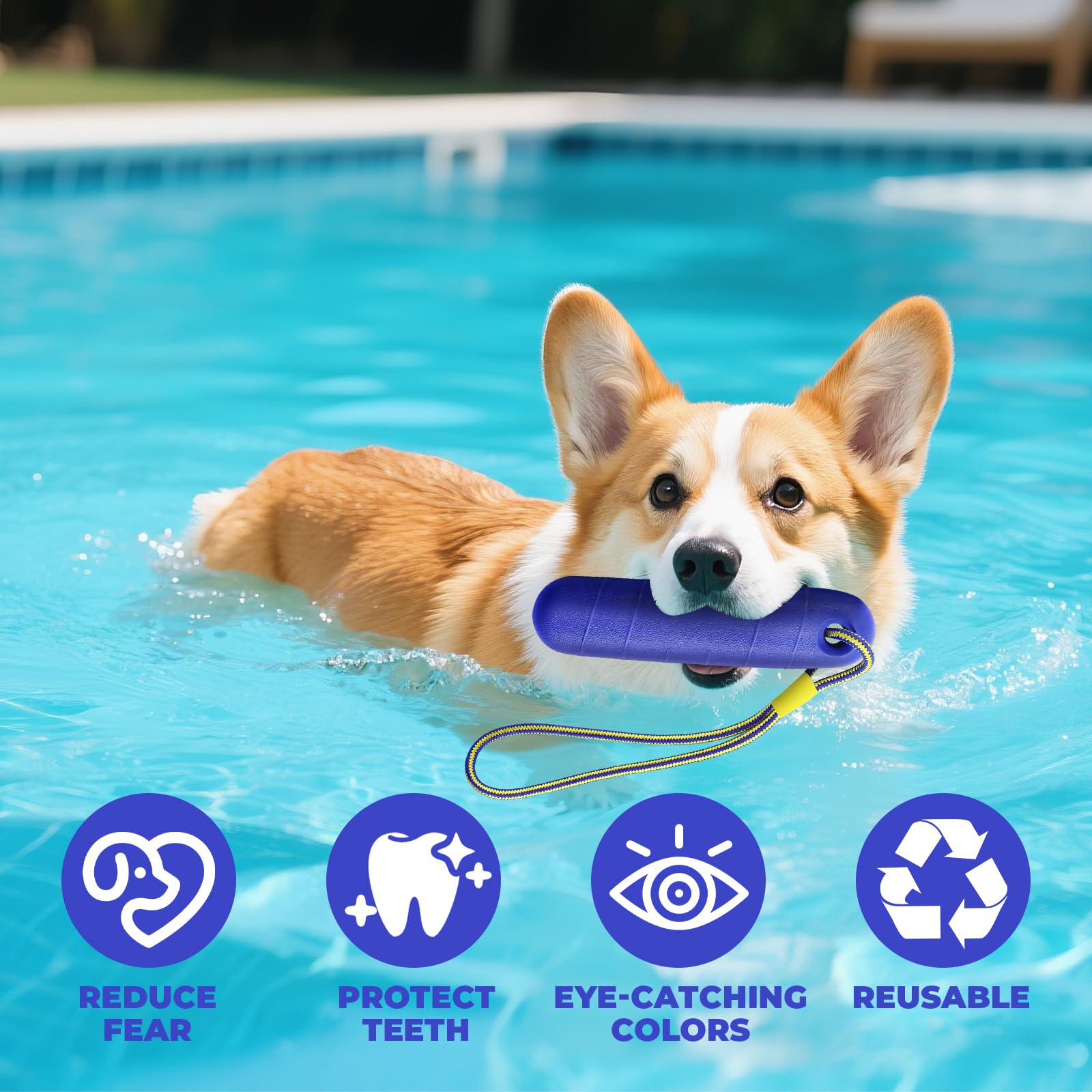 Jouet Interactif Chien, Jouet de Rappel avec Corde en Nylon, Ballon Flottant Increvable pour Piscine et Extérieur, Jouet Interactif pour l'Entraînement des Chiens de Taille Moyenne et Grande