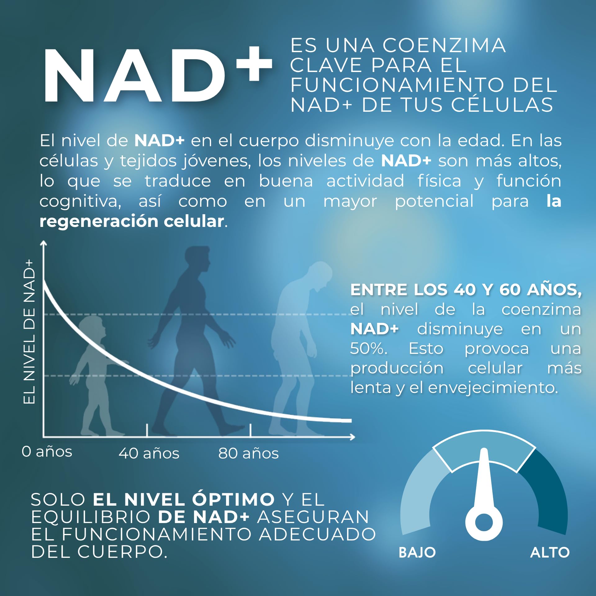 1-MNA Brain, Suplemento Antiedad, Optimiza NAD+ con Ginkgo Biloba, Zinc, Biotina, Vitaminas C, B1, B5, B6, B12, Biohacking, Salud Celular, Memoria, Enfoque, 30 Cápsulas