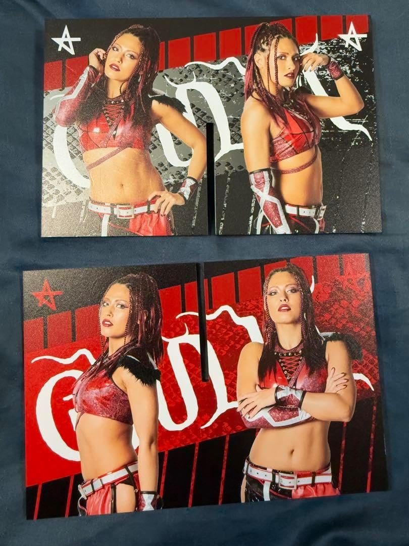 女子プロレス スターダム ランダムアクリルスタンド ジュリア NXT 女子