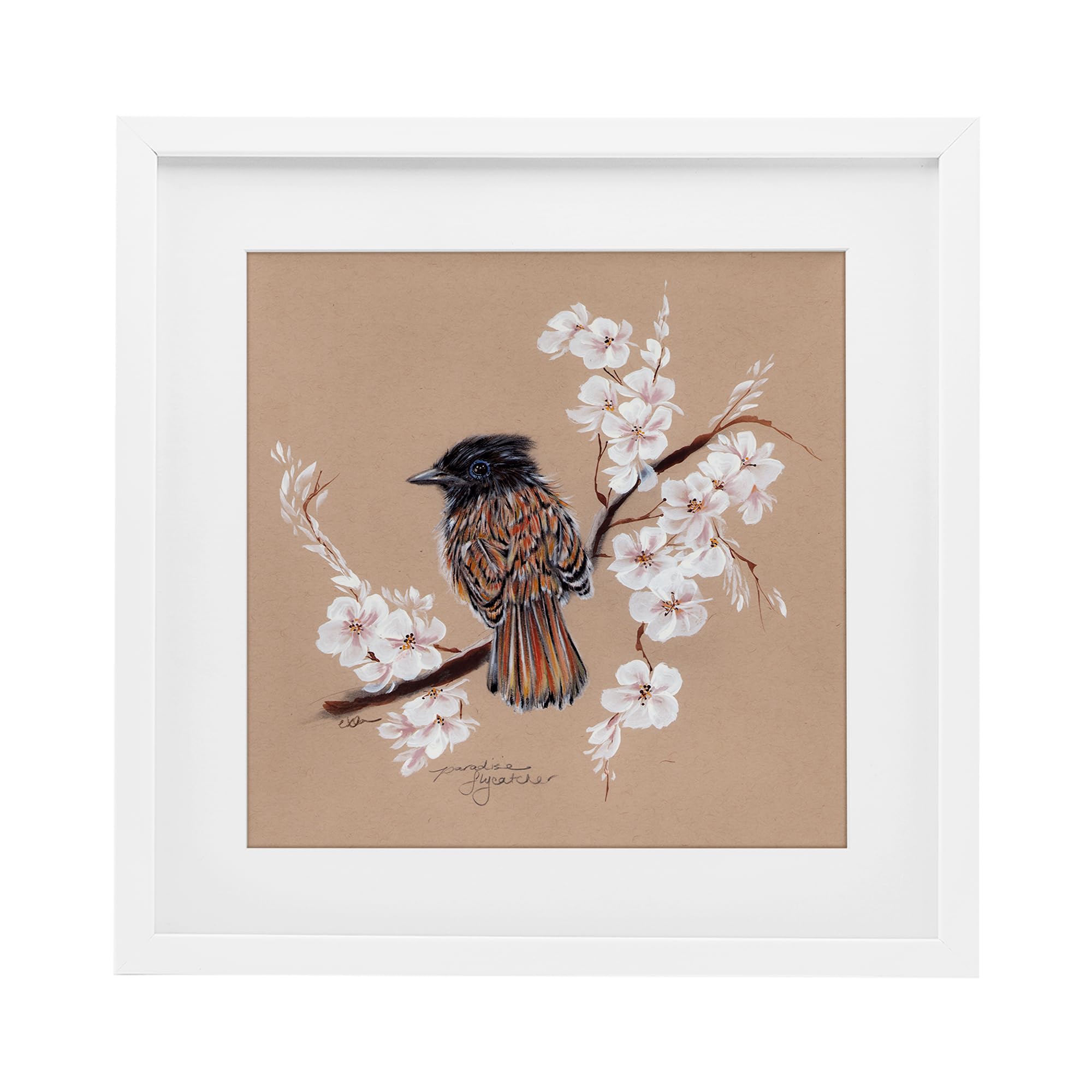 Stupell Industries Perched Bird Neutral Apple Blossoms White Framed Print Under Glass, design by Cady Driver, 16 x 16