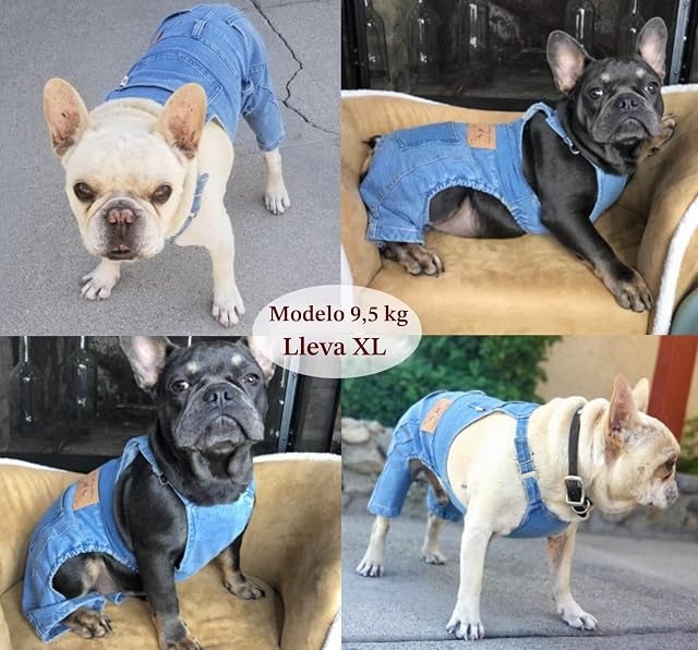 Foto 6 de 7 de Mono Vaquero para Perros y Gatos, con Tirantes