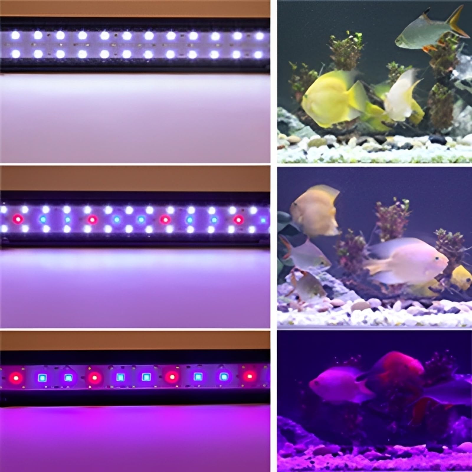 Amazon | hygger 水槽ライト アクアリウムライト LED 熱帯魚