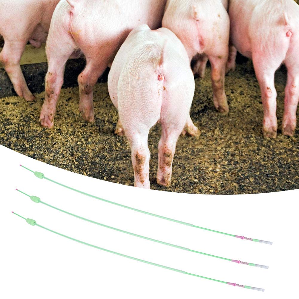 Weikeya Knstliche Befruchtung Katheter, Schwammkopf 5 teile/satz Besamung  Tube Einweg Weich fr Schweine fr Vieh ((roter Kopf weiches Gummi) Kleiner  Kopf tiefe Rhre) : Amazon.de: Gewerbe, Industrie & Wissenschaft