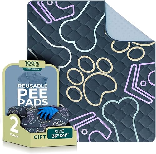 Almohadillas lavables para orina para perros, paquete de 2 unidades + regalo, almohadillas reutilizables para cachorros, impermeables, alfombra de