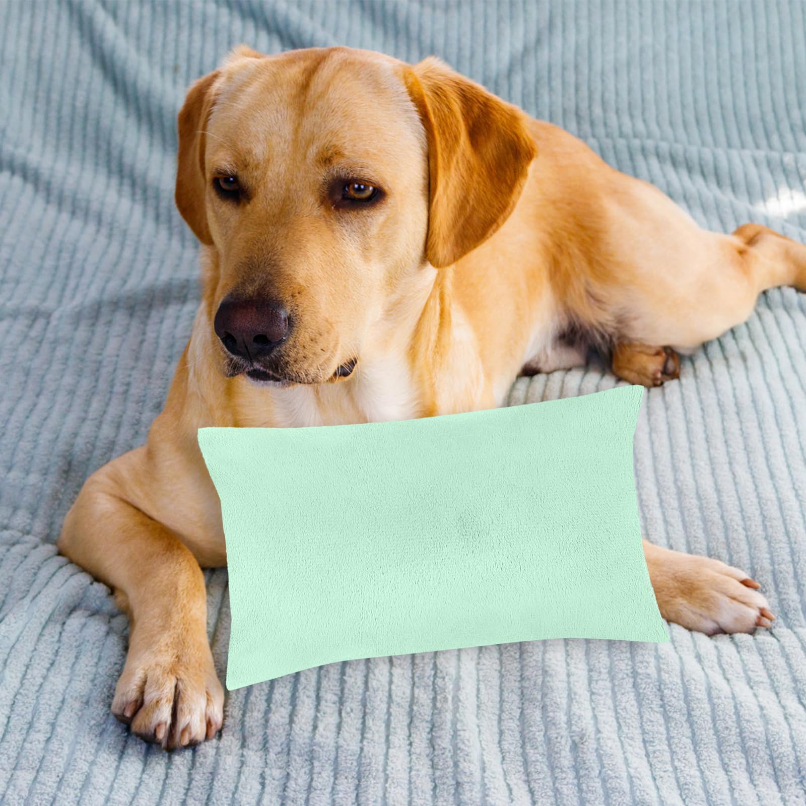 Winmany Small Pillow 11" x 7" Mini Pillow with Removable Plush Pillowcase Rectangular Cushion Wrist Knee Neck Lumbar Travel Tiny Pillow for Adult,Pets,Dog (Green) - Image 4