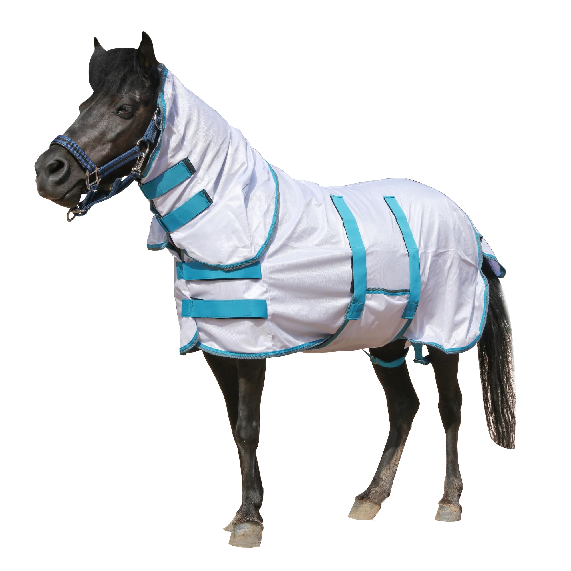 Manta antimoscas para mini caballo, pequeño pony, con tapa para cuello y banda vientral, extraíble, protección UV, malla ligera y transpirable, para burro, miniatura, potro destetado