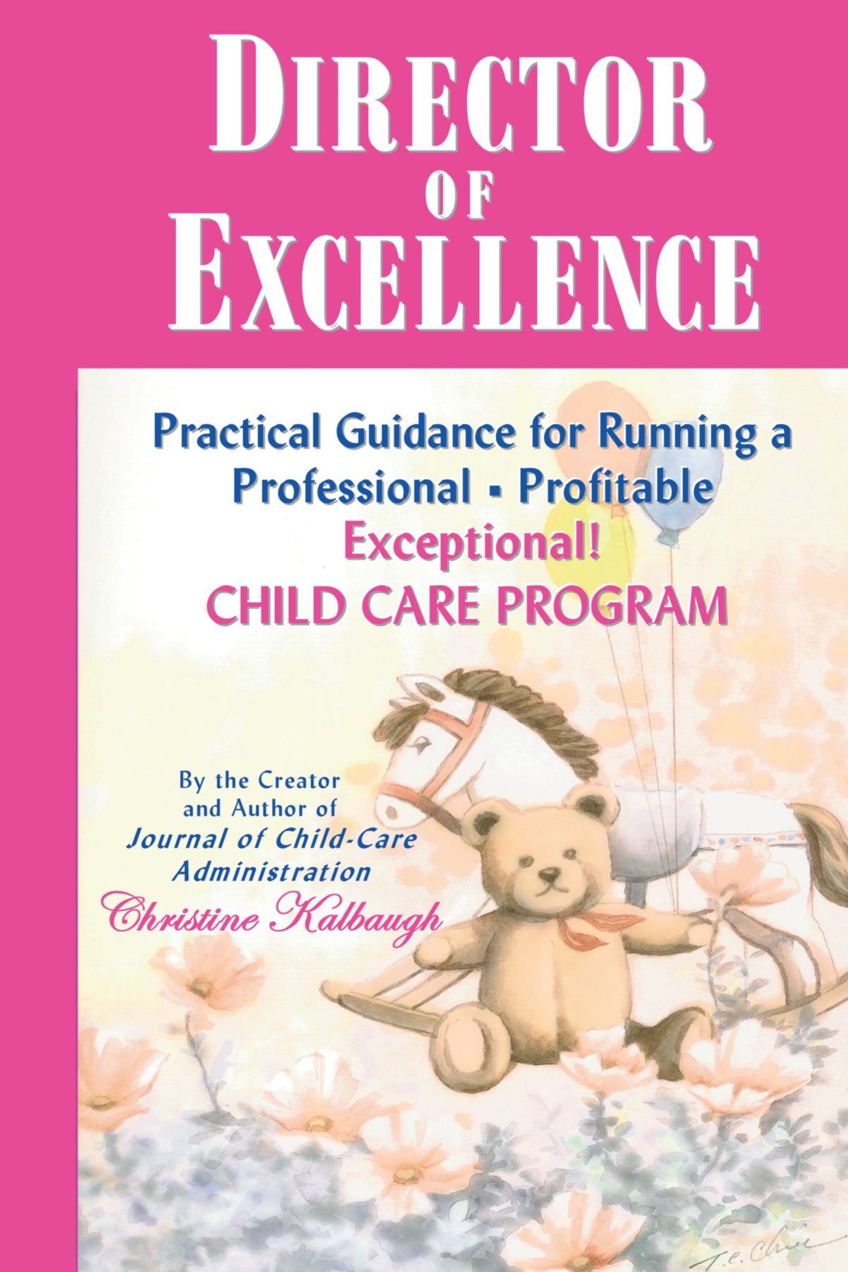Director of Excellence: Practical Guidance for Running a Professional - Profitable, Exceptional! Child Care Program
