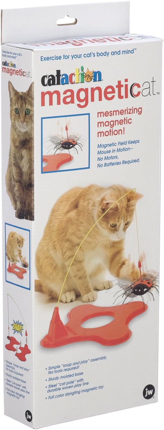 Cataction Magneticat