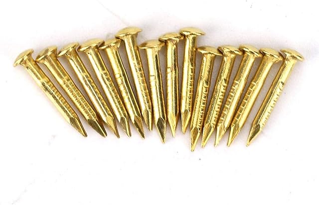 Brass Nails, 100 Pieces Round Head Gold Nails, Brass Wall Pins 10mm 15mm 18mm 22mm, Furniture Brass Tacks for Wood, for Hanging Picture Frame Mirror, Furniture Hinge Hardware Accessories(10mm)