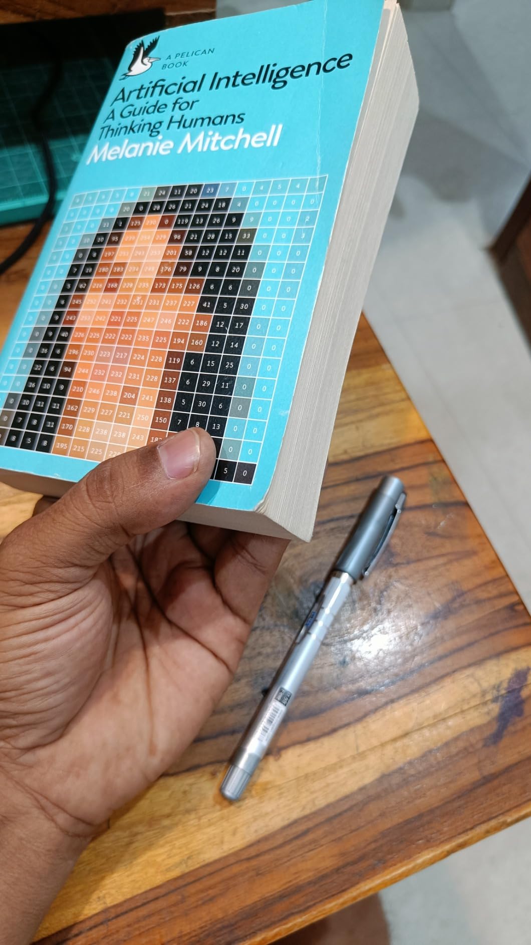 ARTIFICIAL INTELLIGENCE A GUIDE FOR THINKING HUMANS AMAZON visual data 6