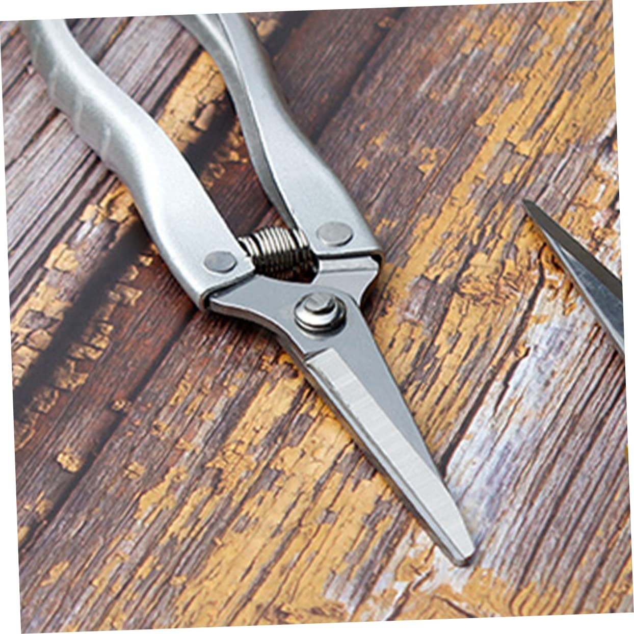 Toyvian 2 Pezzi cesoie paesaggio potatura potatore pesante trimmer taglio svettatoio forbici da giardinaggio Silver