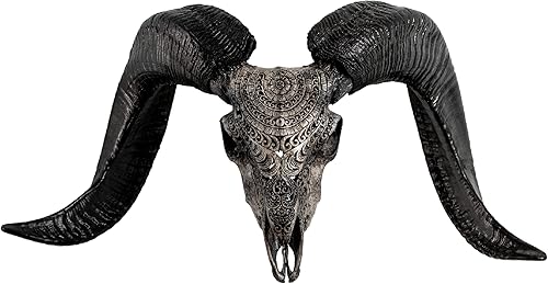 Vista 38 de Skull Bliss - Calavera de carnero de taxidermia auténtica tallada a mano con cuernos/decoración del hogar de cráneo de carnero genuino/decoraciones