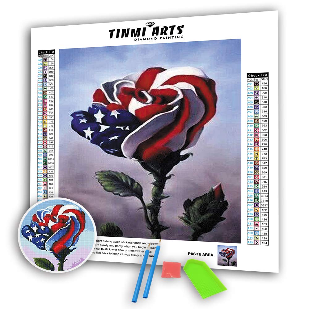 TINMI ARTS 5D Diamond Painting Kits for Adults Full Round AB Drills Mosaic Cross Stitch Kits Embroidery Kits Home Wall Decor[14"x 18" Ice Cream Flower]