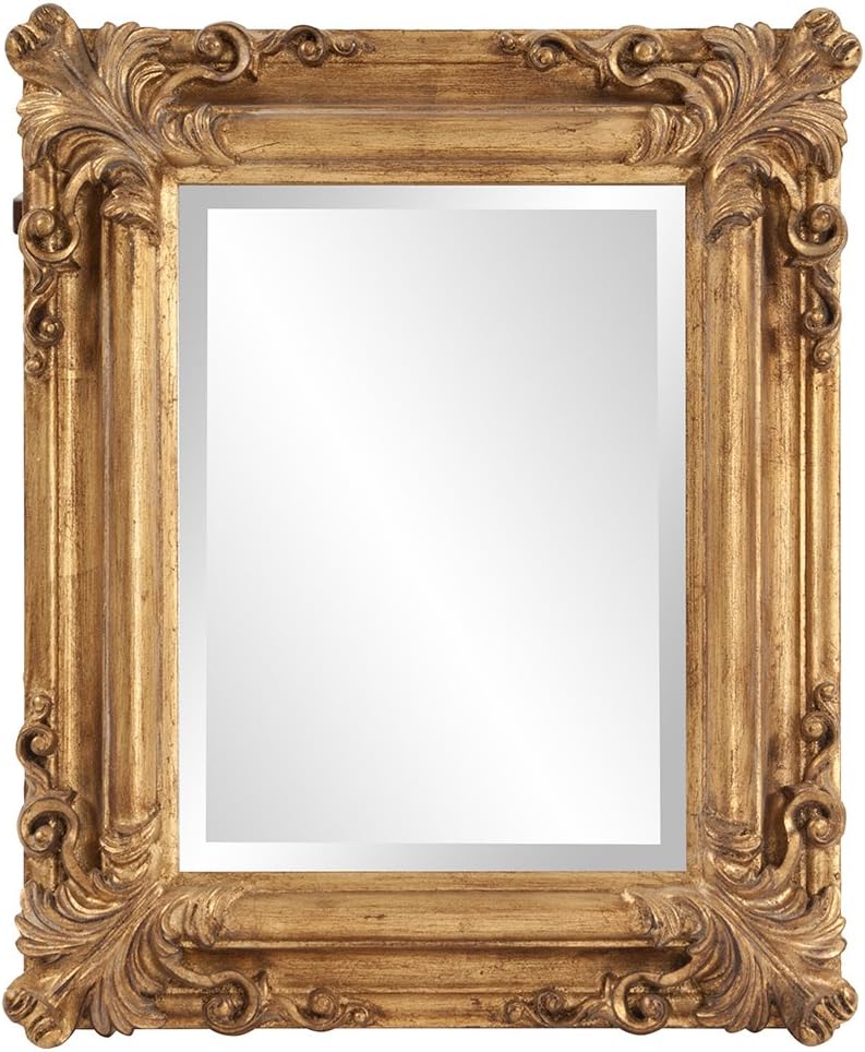 Edwin Hanging Rectangular Wall Mirror, Rustic Antique Gold Framed Decorative Accent Mirror for Living Room or Bedroom with Elegant Embellished Design, 19 x 23 Inch