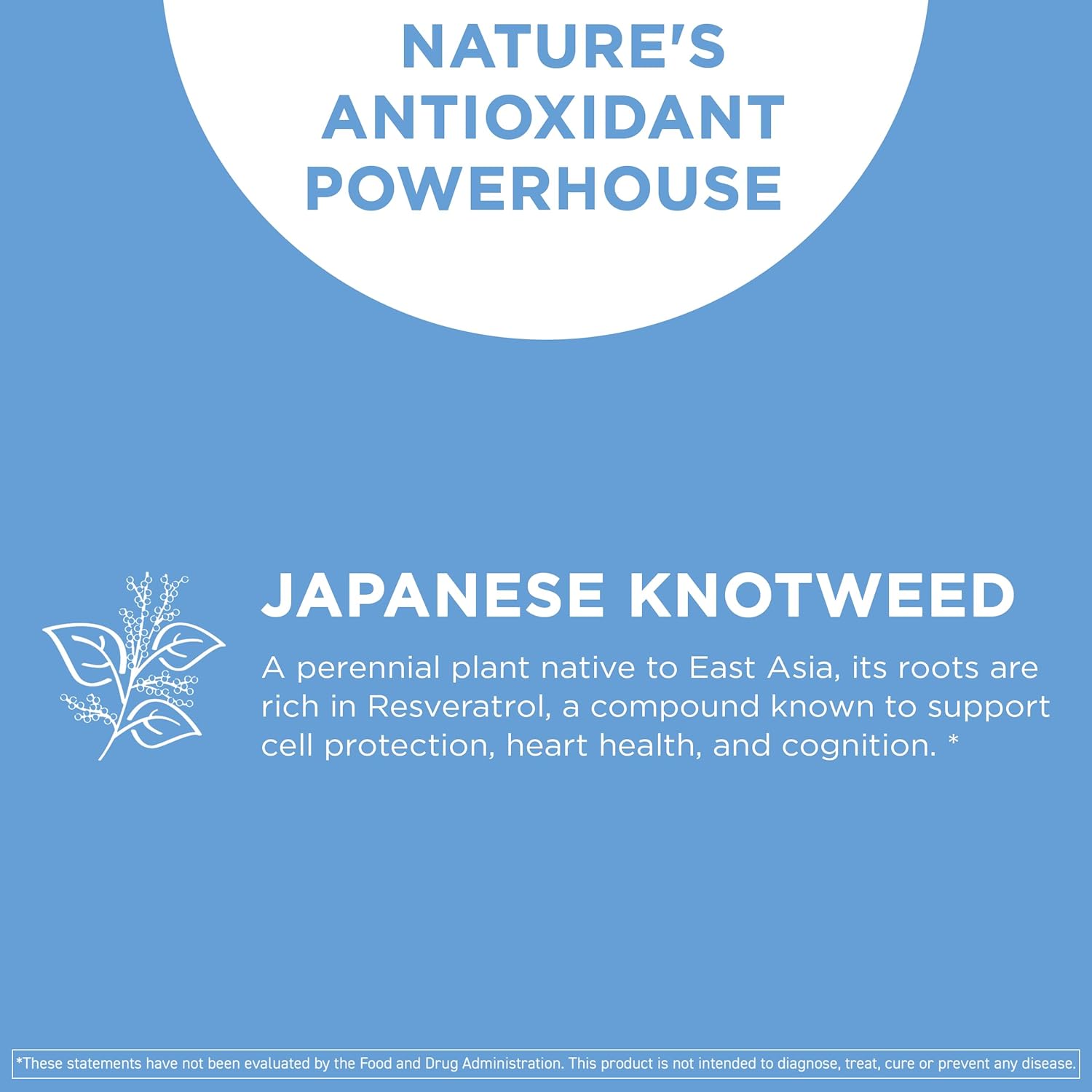 Vital Vitamins Resveratrol Capsules + NAD+ Supplement